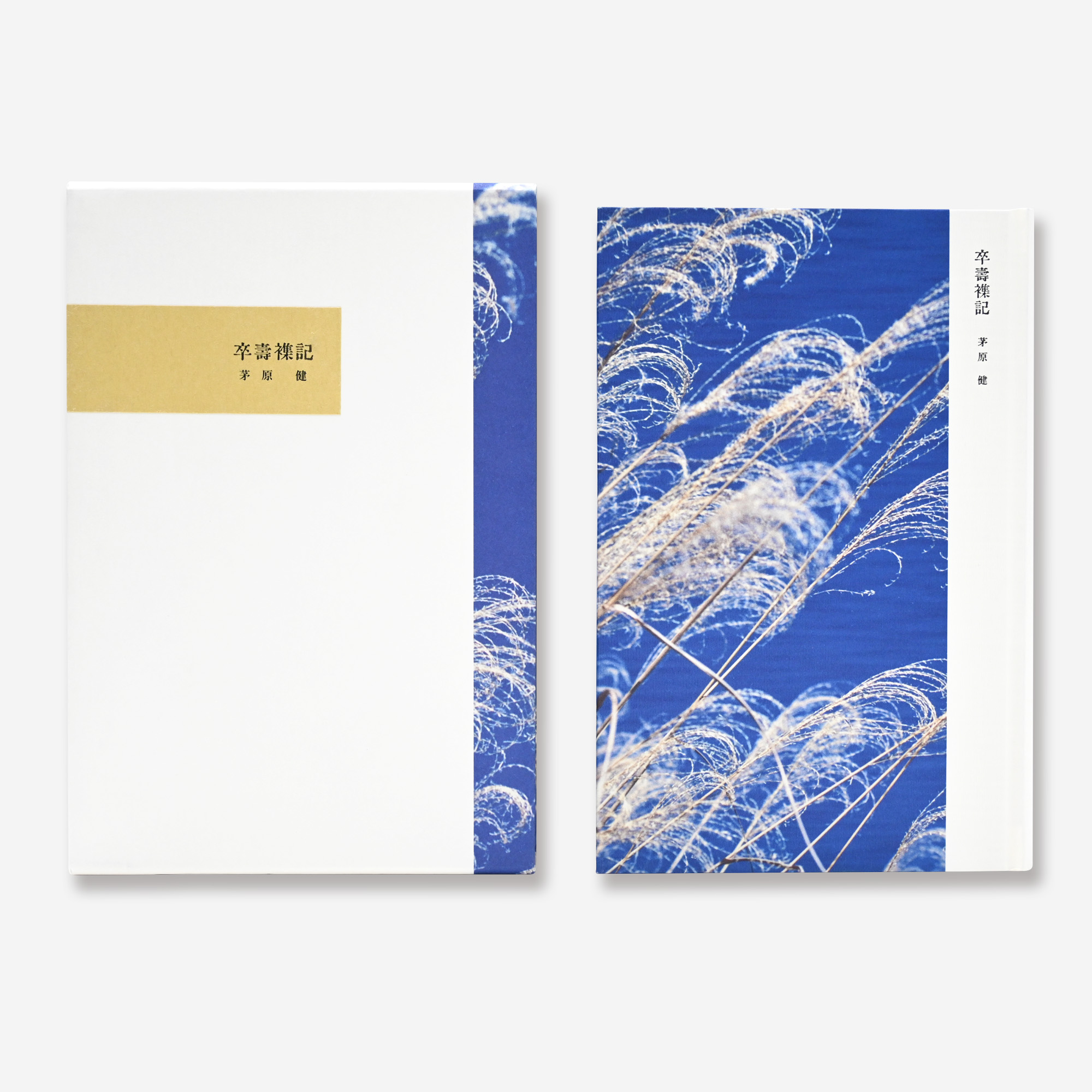 Notice: Undefined variable: alt in /virtual/htdocs/yppnetcojp/publicsite/wordpress/wp-content/themes/yppnet/casestudy-single.php on line 19