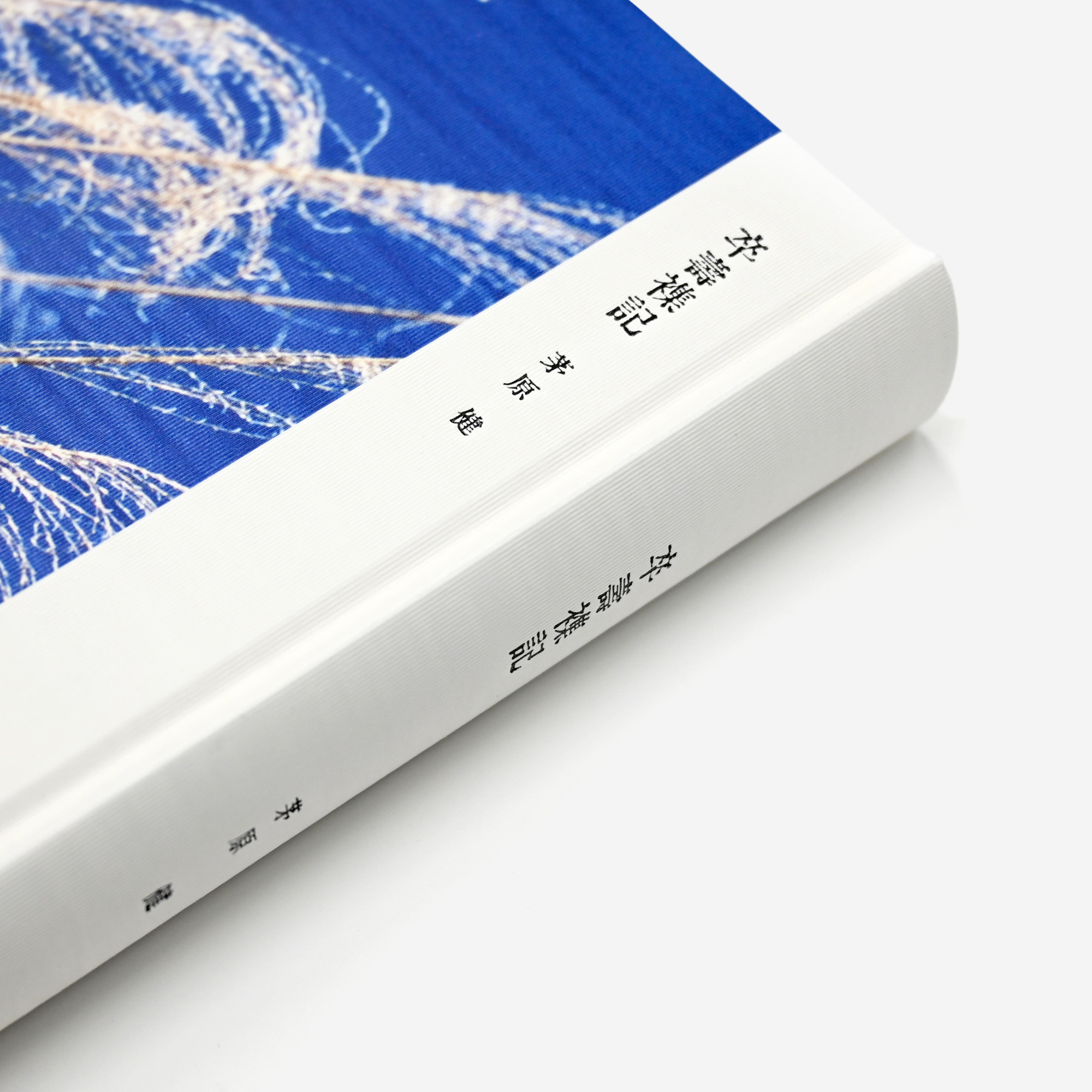 Notice: Undefined variable: alt in /virtual/htdocs/yppnetcojp/publicsite/wordpress/wp-content/themes/yppnet/casestudy-single.php on line 19