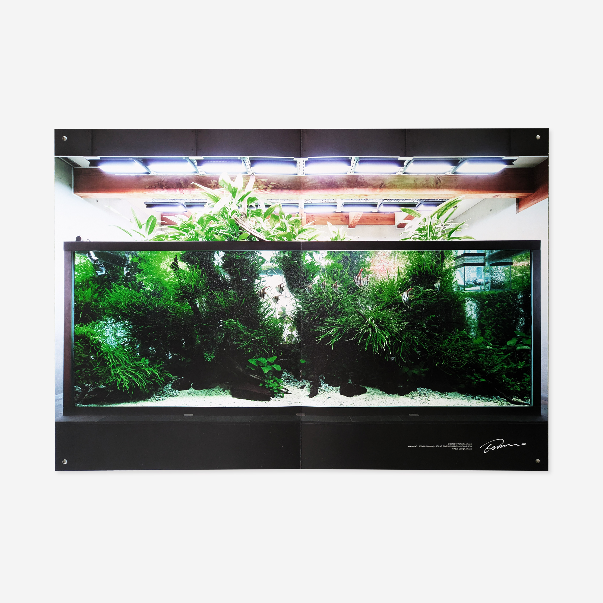 
Notice: Undefined variable: alt in /virtual/htdocs/yppnetcojp/publicsite/wordpress/wp-content/themes/yppnet/casestudy-single.php on line 19
