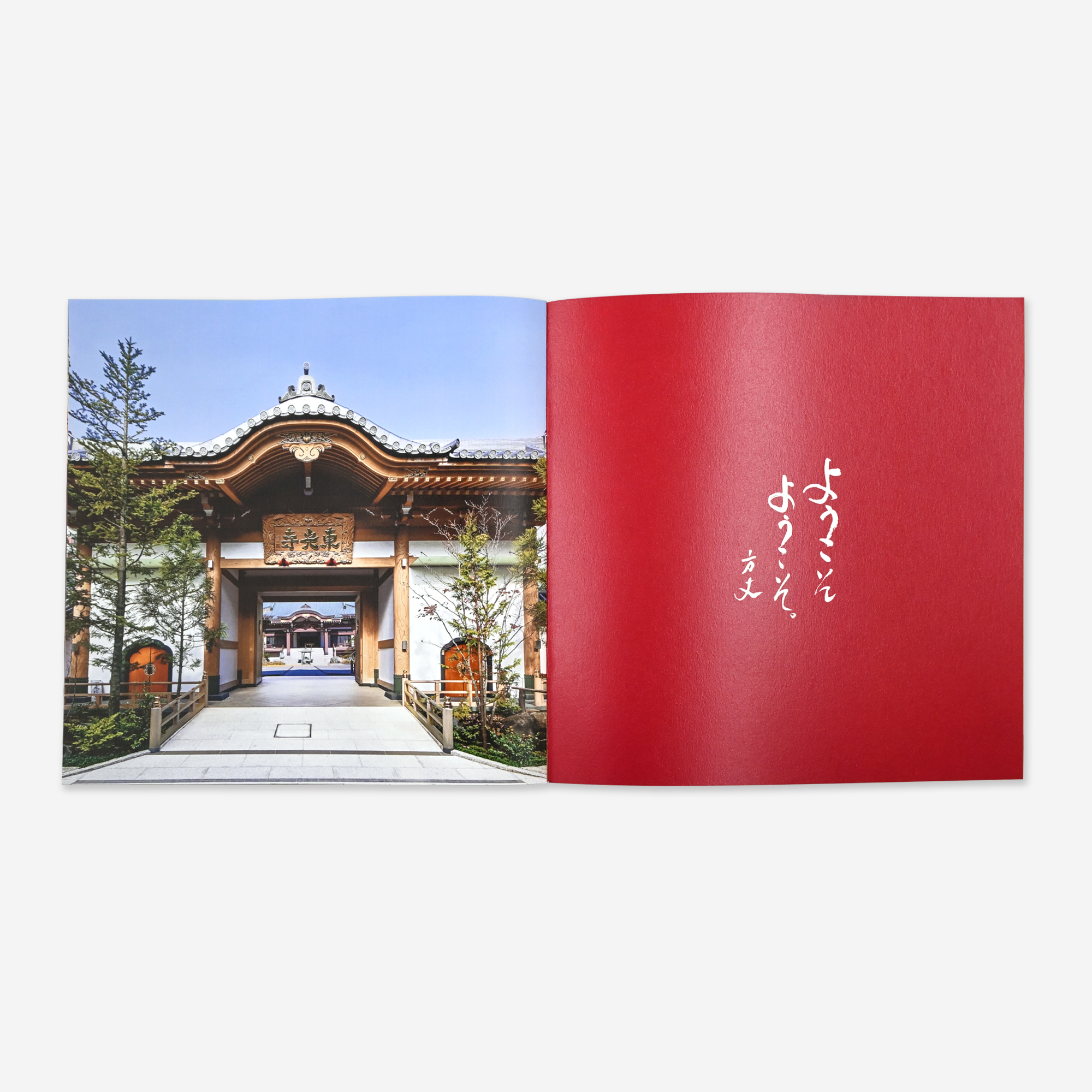 
Notice: Undefined variable: alt in /virtual/htdocs/yppnetcojp/publicsite/wordpress/wp-content/themes/yppnet/casestudy-single.php on line 19
