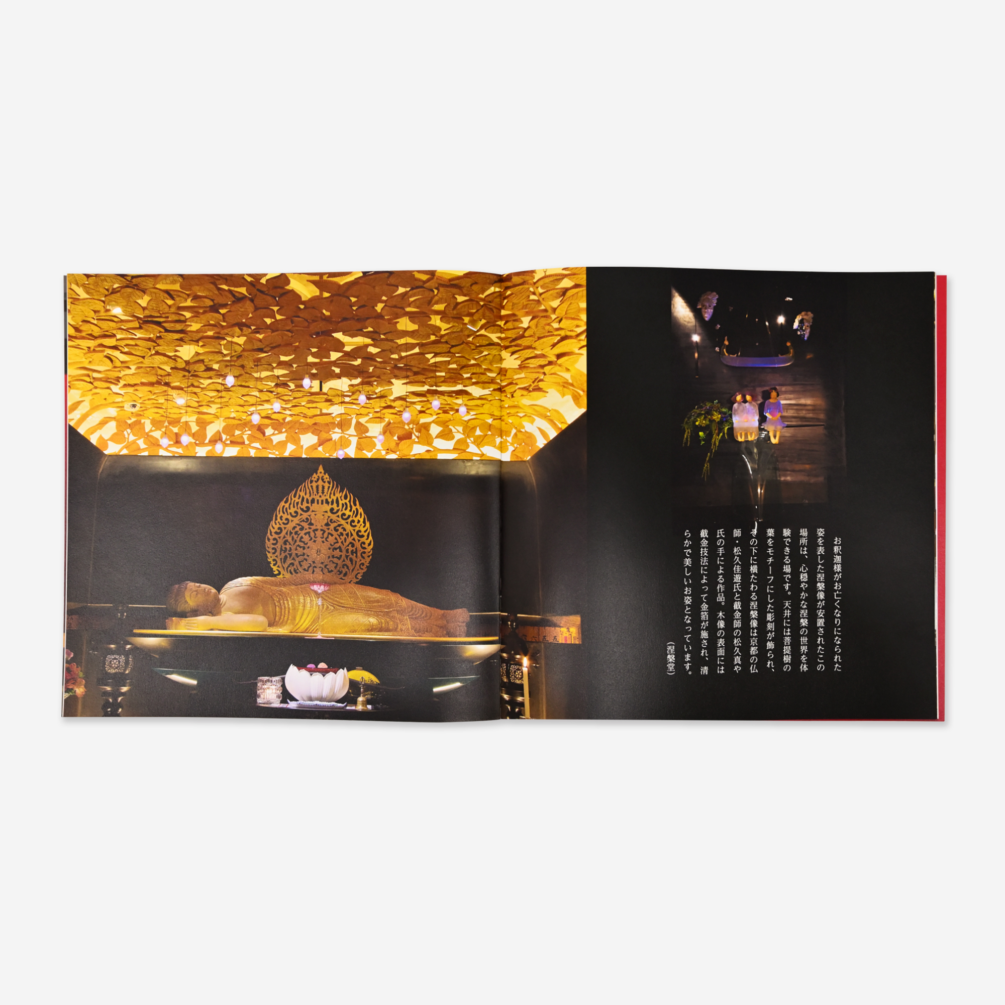 
Notice: Undefined variable: alt in /virtual/htdocs/yppnetcojp/publicsite/wordpress/wp-content/themes/yppnet/casestudy-single.php on line 19
