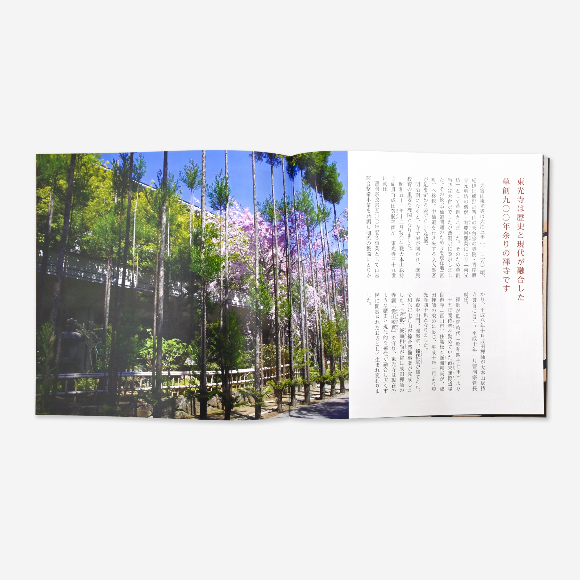 
Notice: Undefined variable: alt in /virtual/htdocs/yppnetcojp/publicsite/wordpress/wp-content/themes/yppnet/casestudy-single.php on line 19
